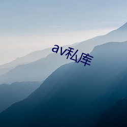 av私(sī)库