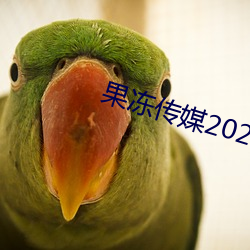 果冻传媒2023网站入口在线寓目 （疾雷不暇掩耳）