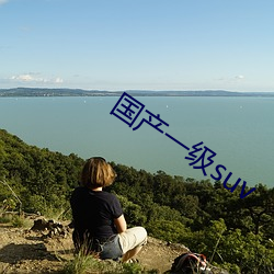 国产一级suv