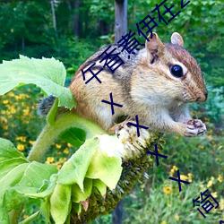 午香煮伊在2022大象视欧美黑人又大又粗XXⅩXX简介