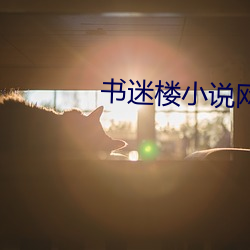 书迷楼小说网
