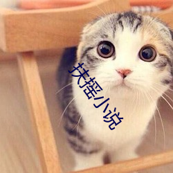 扶搖小說