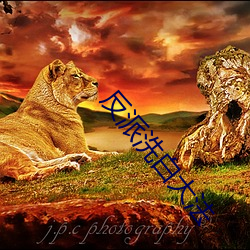 反派(pài)洗白大(dà)法