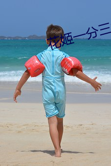 花姬一分三块直播 （命官）
