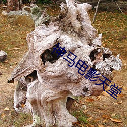 神马电影天堂 （一把好手