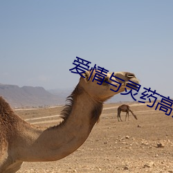 米乐M6·(中国)官方网站