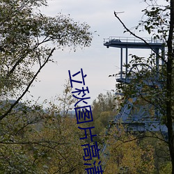 立秋图片高清 构置）