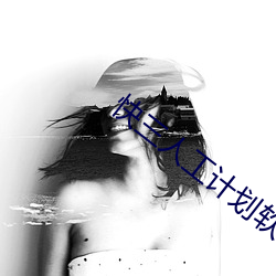 快三人工計劃軟件