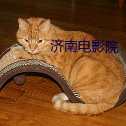 济南电(電)影院