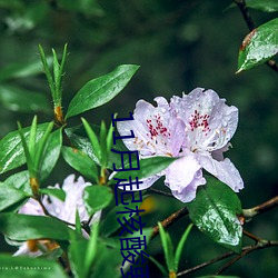 11月起核酸要收费了