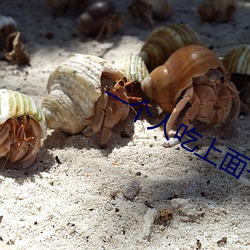 一個人吃上面一個吃下