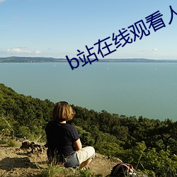 b站在(在)线观看人(人)数在哪(哪)ipad