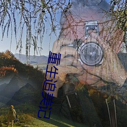 重生追美记