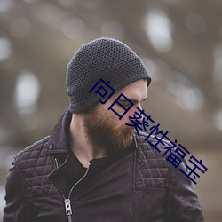向日葵(葵)性福(福)宝