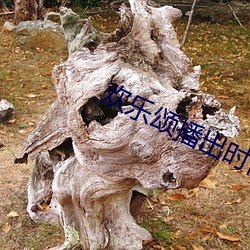 suncitygroup太阳集团--官方网站