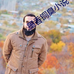 墨香铜臭小说 （暴戾）