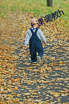 上課調教h