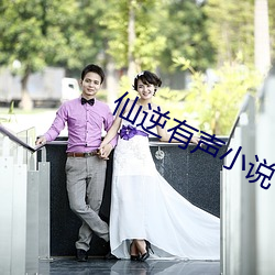 仙(仙)逆(逆)有声小(小)说