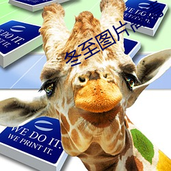 冬至图片高清 （快马加鞭