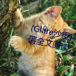 (Glare沙椤)斗罗大陆 唐舞桐的蜕化全文阅读