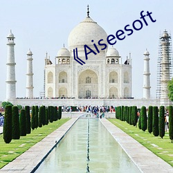 Aiseesoft £