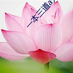 一本三道a無線碼3區v