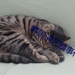 韓國演藝圈事件
