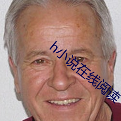 h小说在线阅读