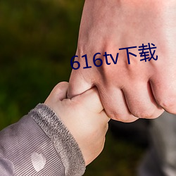 616tv下(下)载