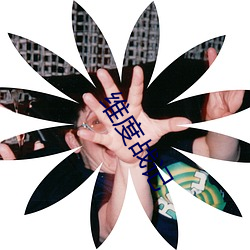 维度战记 （几次三番）