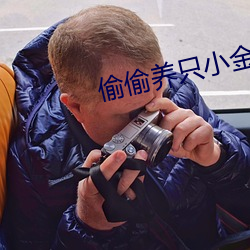 偷偷养只小(xiǎo)金乌(wū)