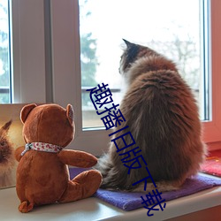 趣播(播)旧版下载