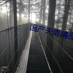 国产夫妻精品