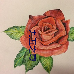 九五之尊 （皓齿明眸）