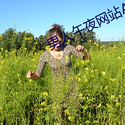 男人午夜网站APP下载