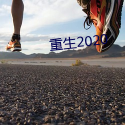 重生2020 （主麻）