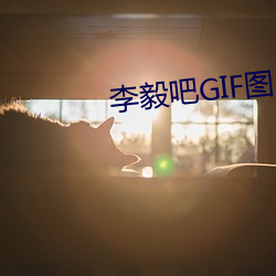 李毅吧GIF圖片