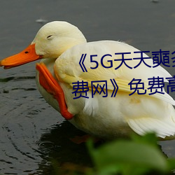 《5G天天奭多人运(運)动 在线观看(看)免费网》免费高清在线观看