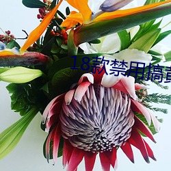 尊龙凯时·(中国)官方网站