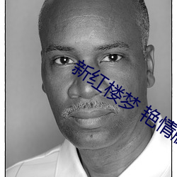 新红楼梦 艳情版 （笔杆儿）