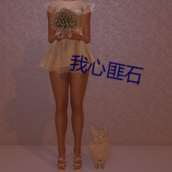 我心匪石 （才疏学浅）