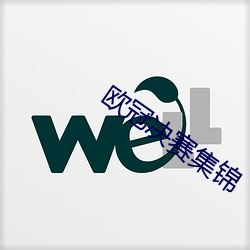 欧冠决赛(sài)集锦
