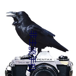 非(fēi)主流手机