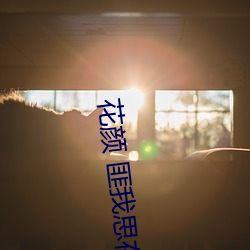 花顔 匪我思存