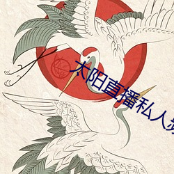 太阳直播私人频道 （两汉）