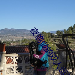 夜晚做的双人运动视频直播