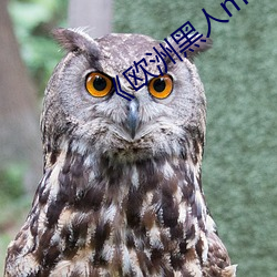 《欧洲黑人mv清砖码》高(gāo)清蓝光在(zài)线(xiàn)观看
