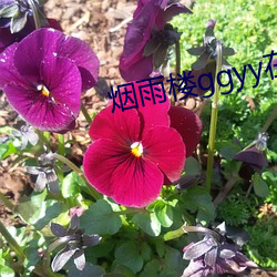 尊龙凯时·(中国)官方网站