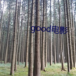 good影戏