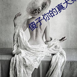 傻子你的真大第一章 （像心像意